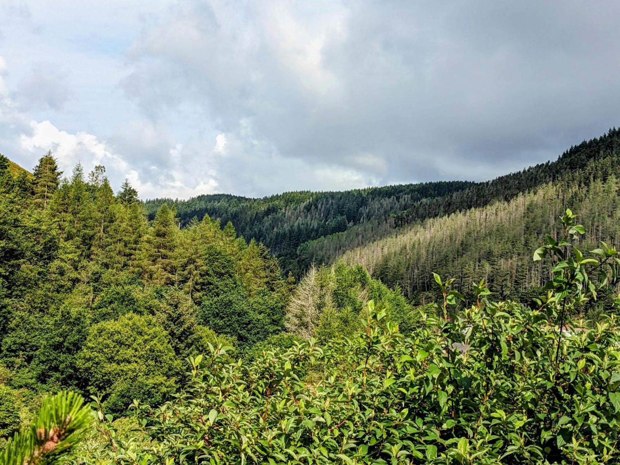 Cape Cottage Glyncorrwg Екстериор снимка